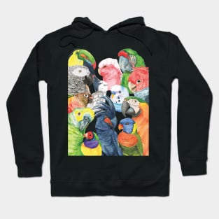 All my parrot watercolor Hoodie